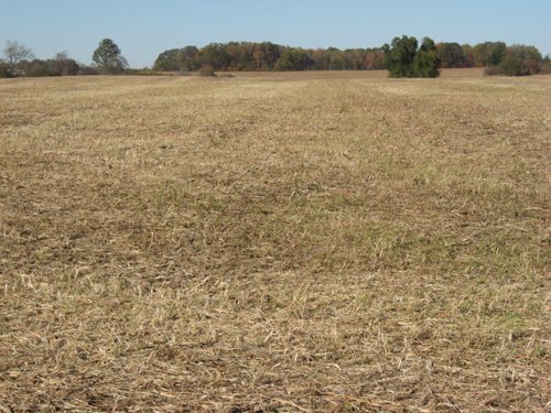 Property photo 53 - 110+/- Acres offered in 4 Tillable Tracts